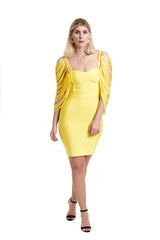 Ladder Sleeve Bodycon Dress